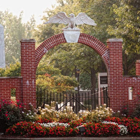 Four Seniors Named National Merit Semifinalists